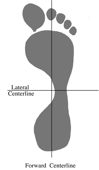 The forward and lateral centerlines of the foot
