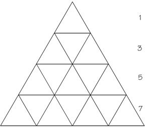 Triangular Analysis of Food Pyramid Levels