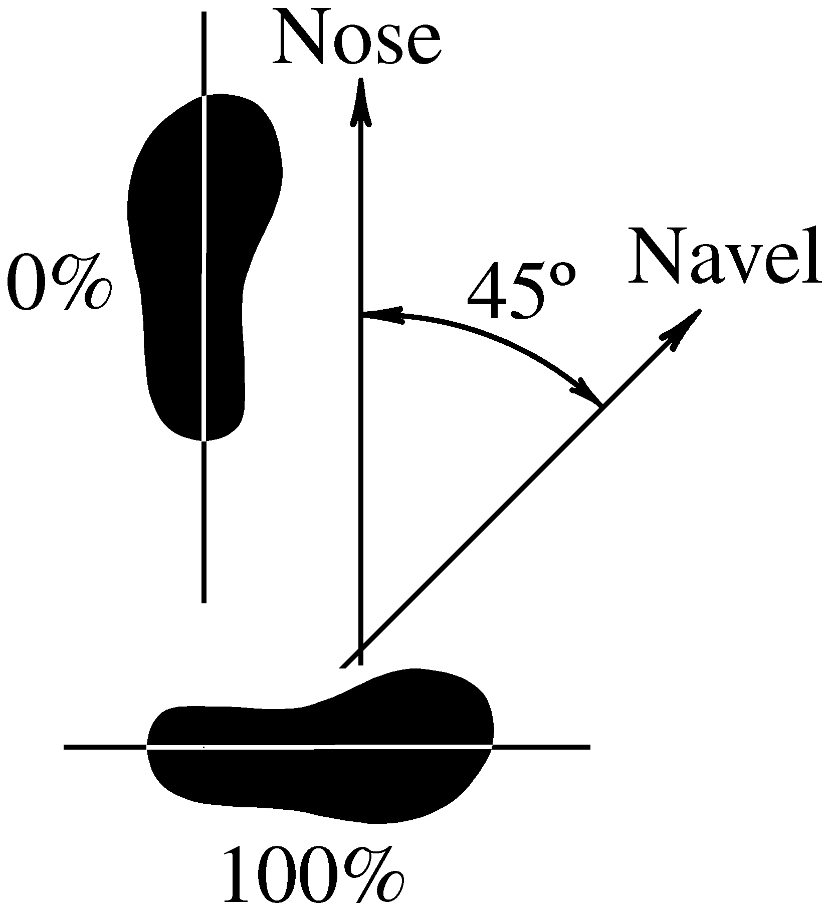 100% stance  with feet at 45