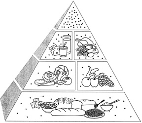 Three-Dimensional Food Pyramid